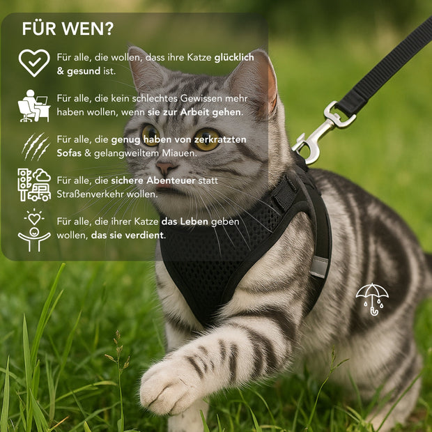 Serenosole™ CatVenture | Bequemes Anti-Ausbruch-Geschirr für Katzen | Von Tierärzten empfohlen (1+1 GRATIS)