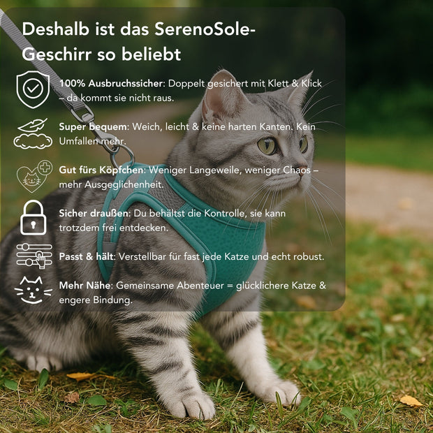 Serenosole™ CatVenture | Bequemes Anti-Ausbruch-Geschirr für Katzen | Von Tierärzten empfohlen (1+1 GRATIS)