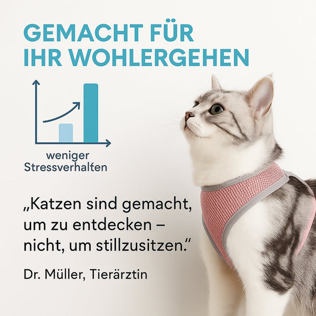 Serenosole™ CatVenture | Bequemes Anti-Ausbruch-Geschirr für Katzen | Von Tierärzten empfohlen (1+1 GRATIS)